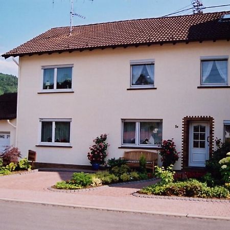 Ferienwohnung Steinebach Daun Bagian luar foto