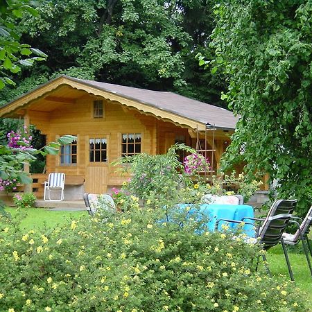 Ferienwohnung Steinebach Daun Bagian luar foto