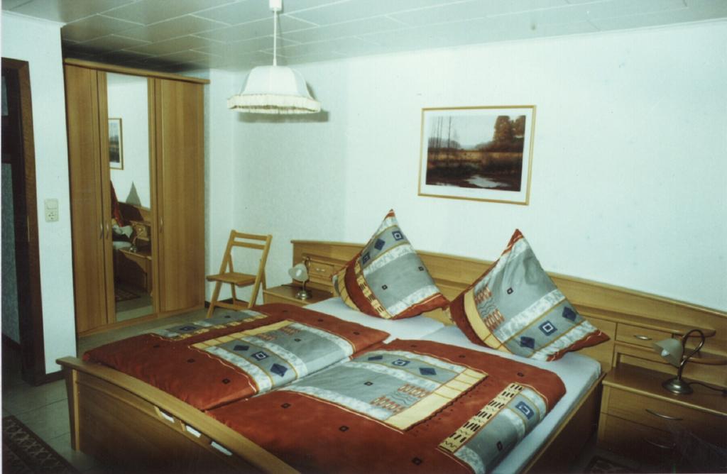 Ferienwohnung Steinebach Daun Bagian luar foto