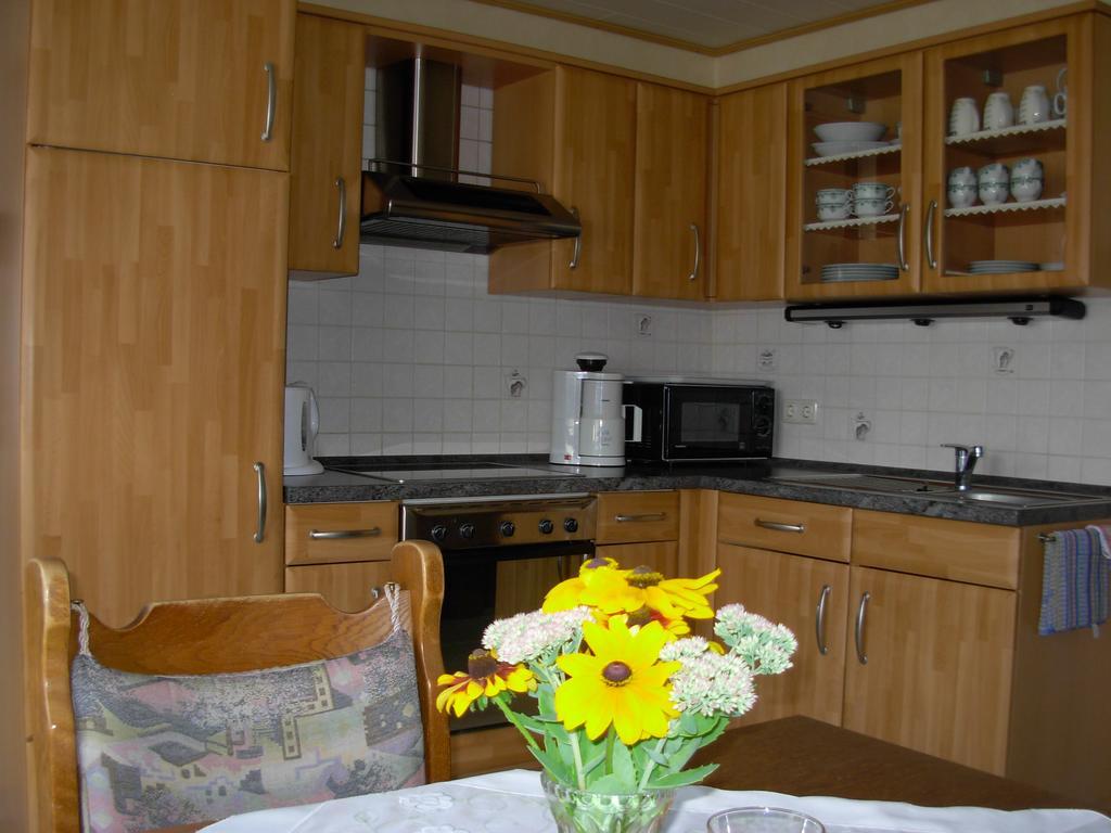 Ferienwohnung Steinebach Daun Bagian luar foto