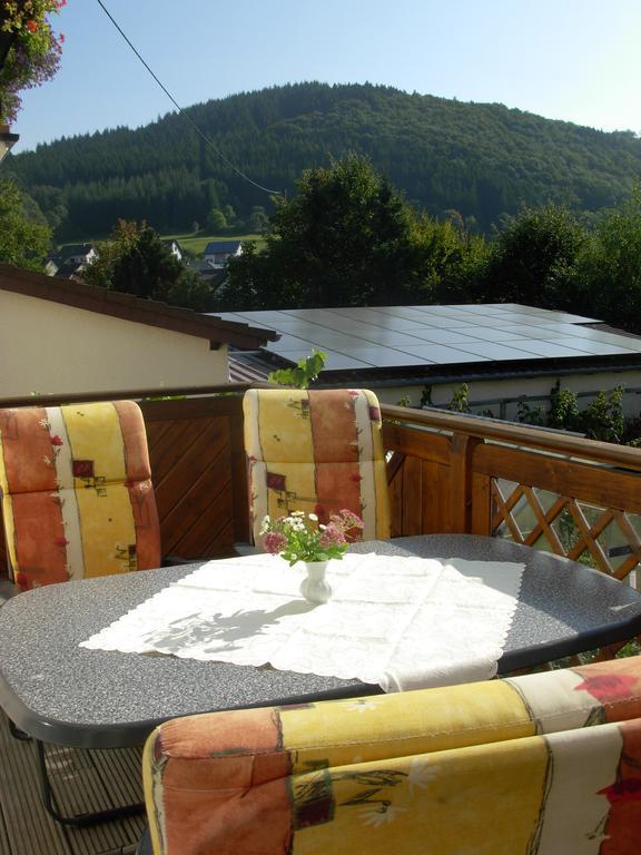 Ferienwohnung Steinebach Daun Bagian luar foto