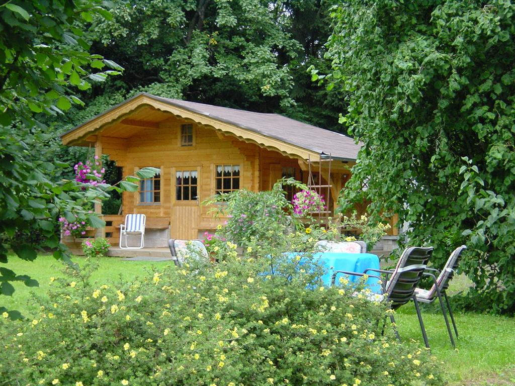 Ferienwohnung Steinebach Daun Bagian luar foto