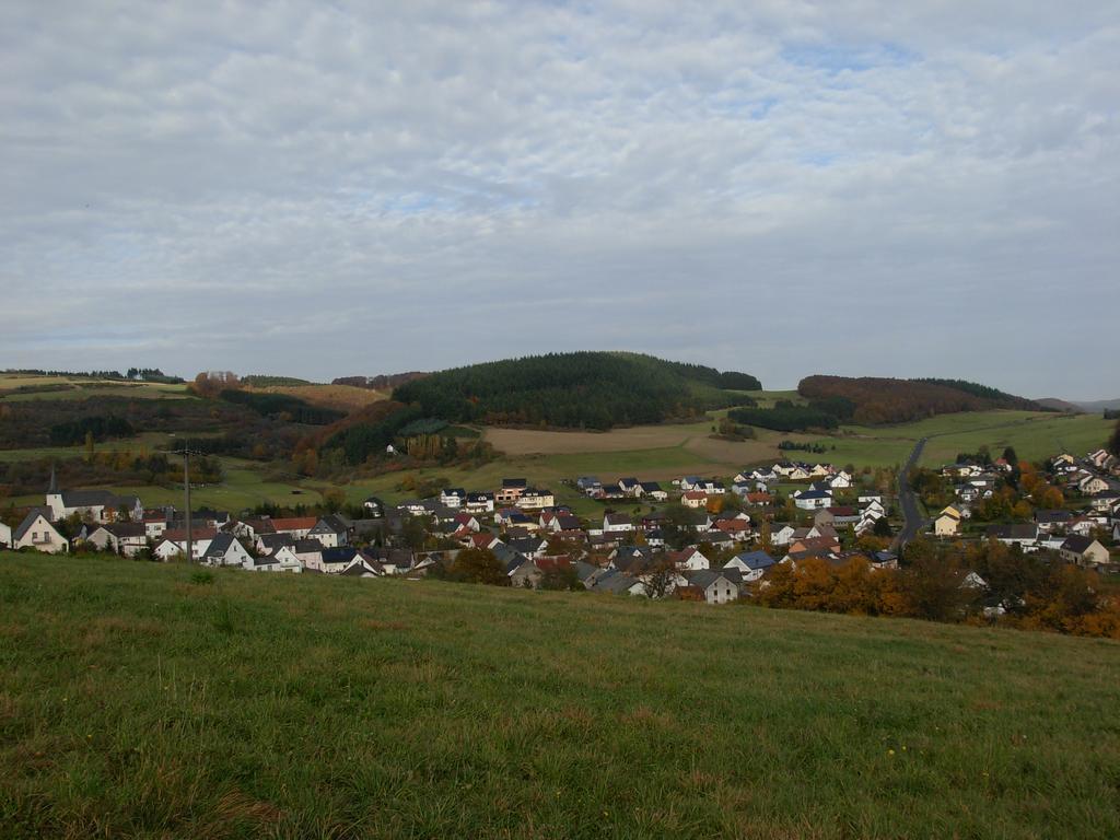 Ferienwohnung Steinebach Daun Bagian luar foto
